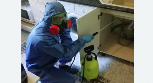 Уничтожение муравьев в квартире. Баксан