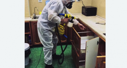 Дезинсекция квартиры. Баксан