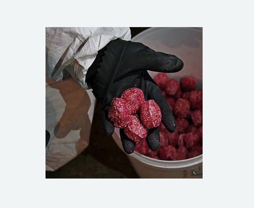 Обработка от крыс в Баксане