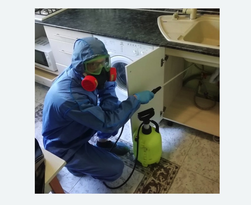 обработка от муравьев в квартире в Баксане