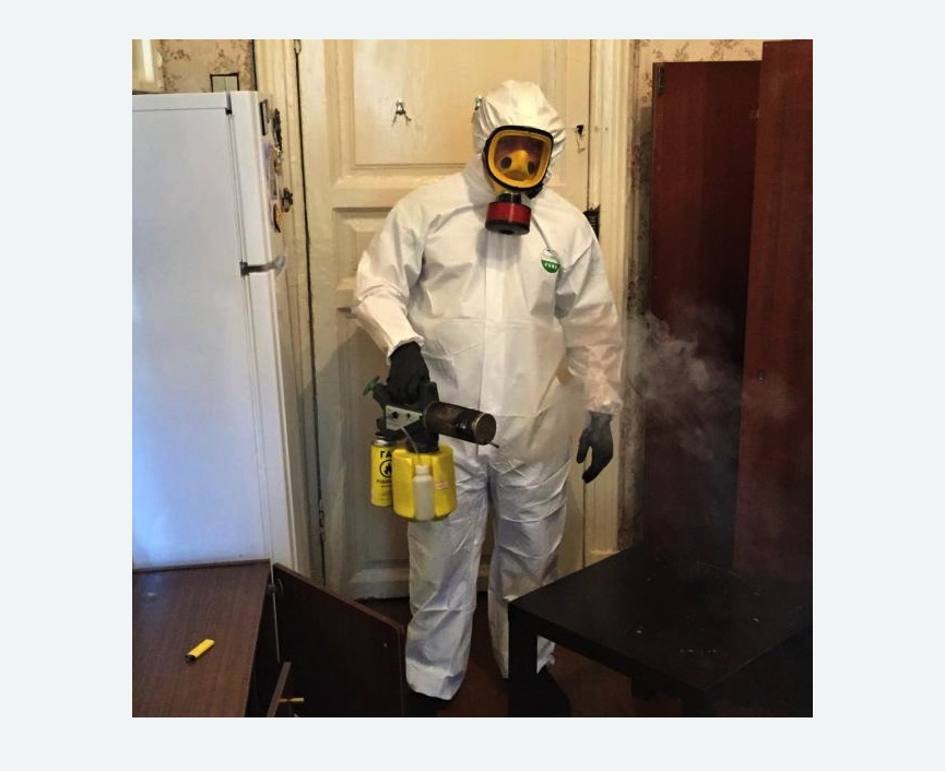 уничтожение муравьев в квартире в Баксане